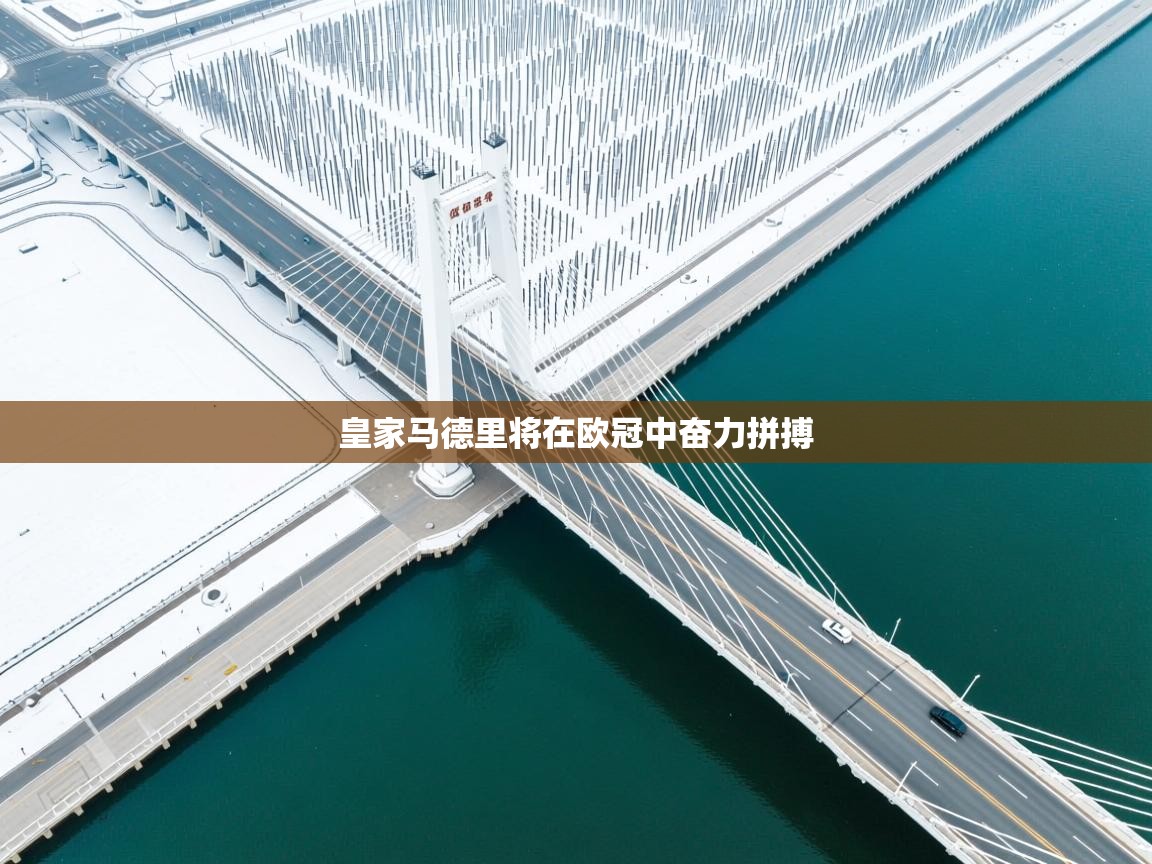 皇家马德里将在欧冠中奋力拼搏  第2张