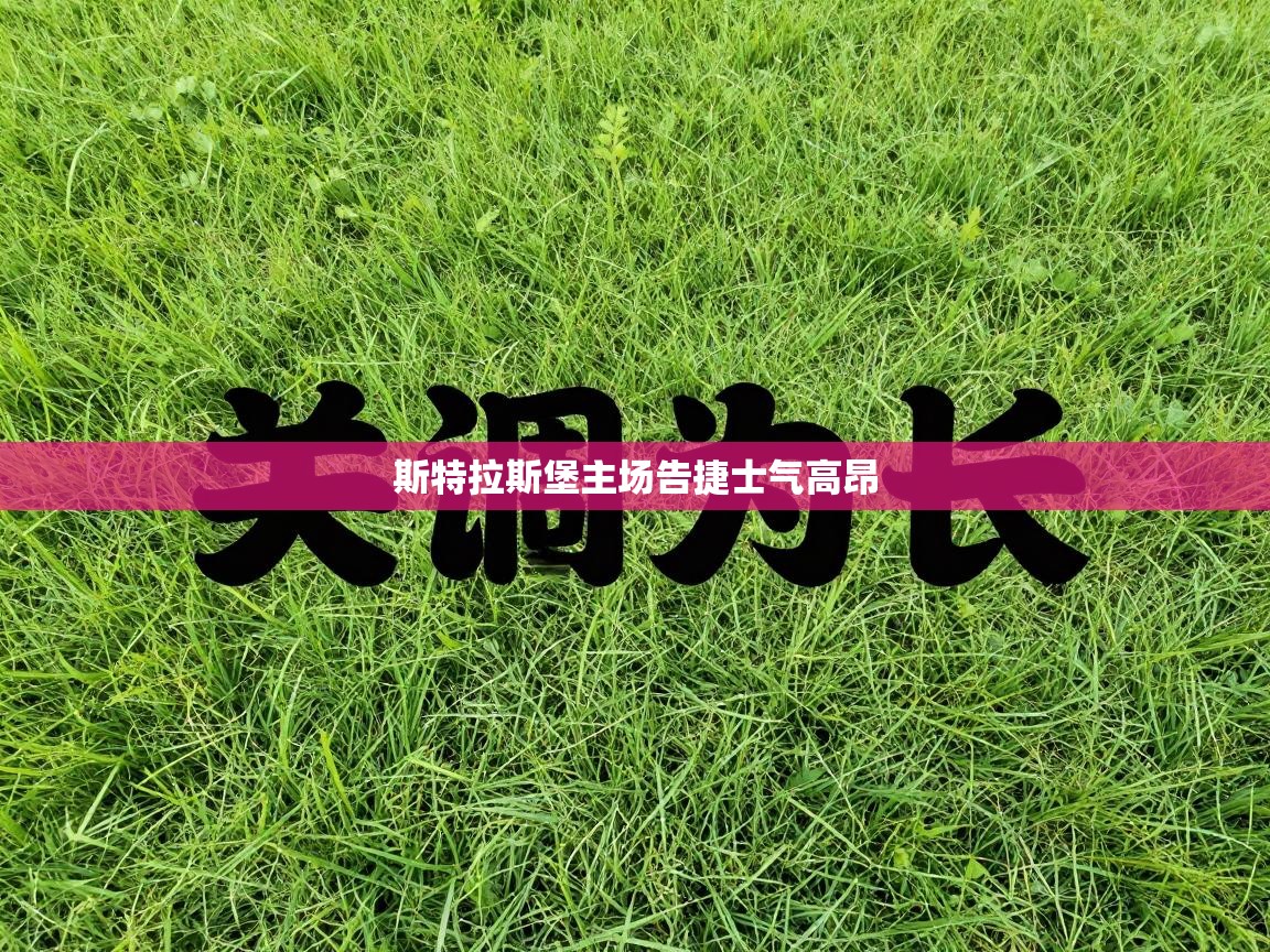 斯特拉斯堡主场告捷士气高昂 第2张